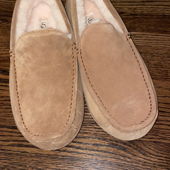 Ugg Mens Ascot Slipper - Picture 3 of 7
